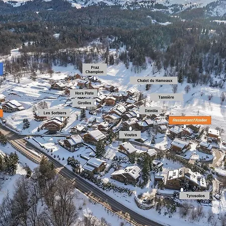 6 Avec Jacuzzi Et Sauna, Proche Telecabine Et Navette Gratuite, Meribel Raffort - Fr-1-566-8